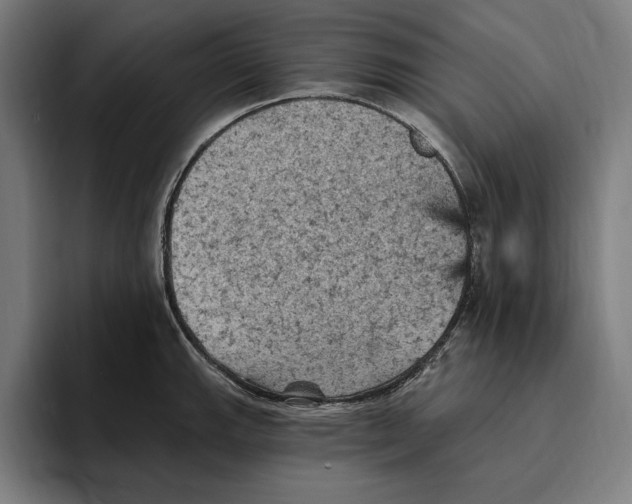 X0000094811143200712071220