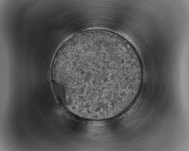 X0000094811145200712071220