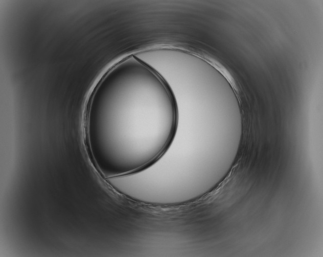 X0000094811148200712071220