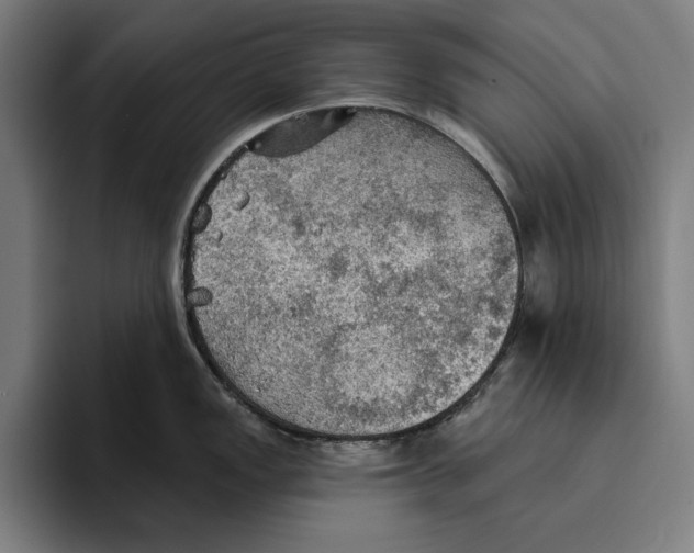 X0000094811149200712071220