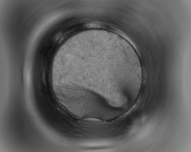 X0000094811151200712071220