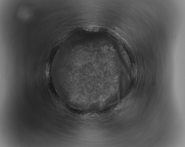 X0000094811154200712071220