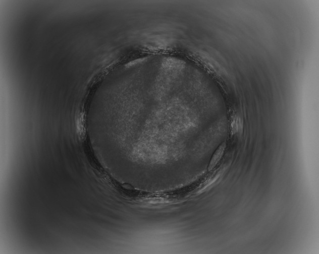 X0000094811156200712071220