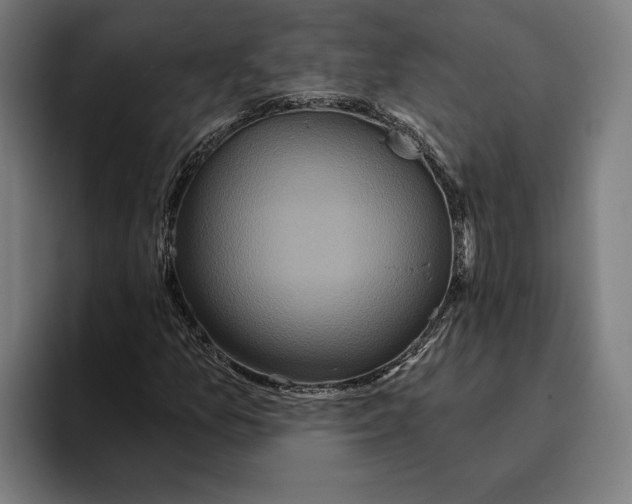 X0000094811157200712071220