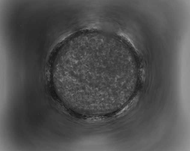 X0000094811159200712071220