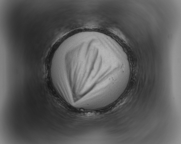 X0000094811160200712071219