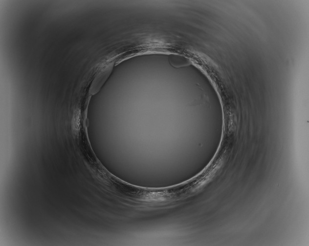 X0000094811161200712071219