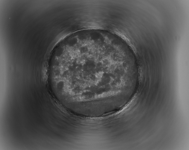 X0000094811163200712071219