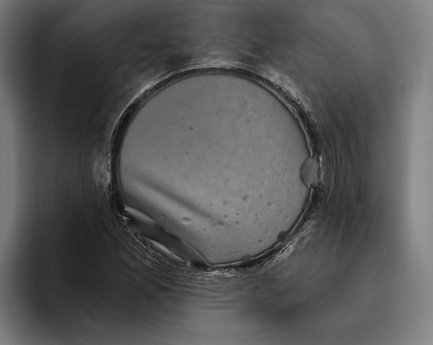 X0000094811165200712071219