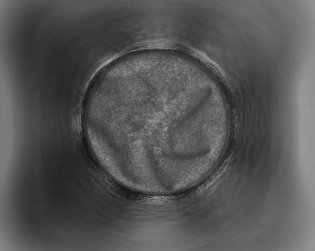 X0000094811166200712071219