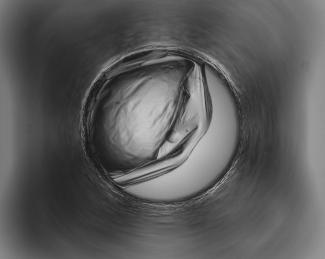 X0000094811168200712071219