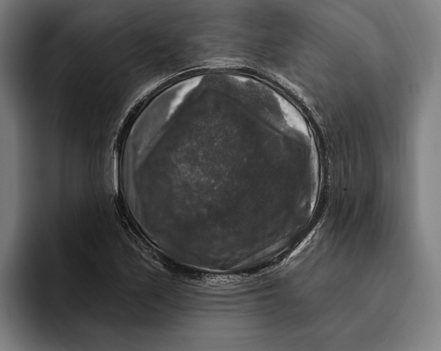 X0000094811171200712071219