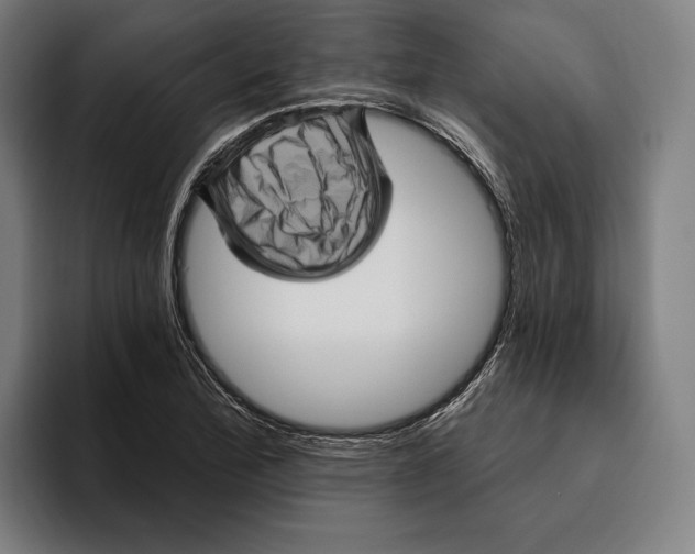 X0000094811172200712071219