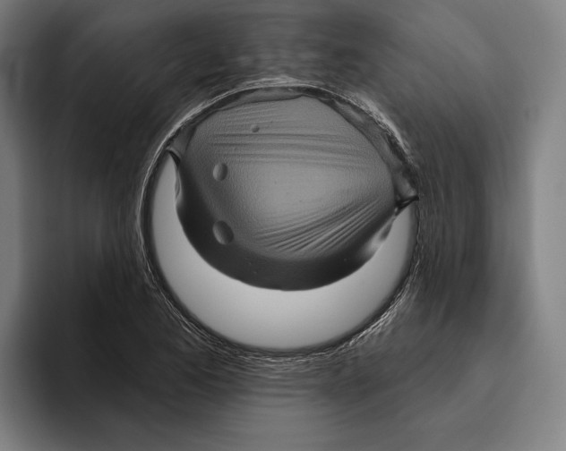 X0000094811173200712071219