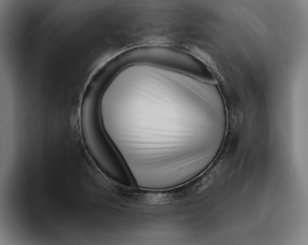 X0000094811176200712071219