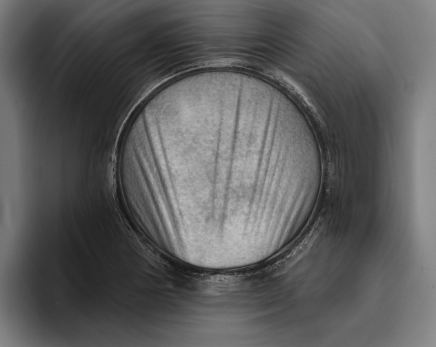 X0000094811178200712071219