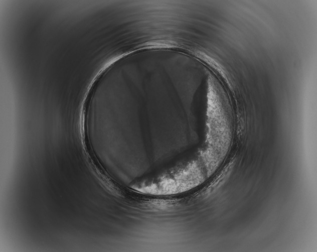 X0000094811179200712071219