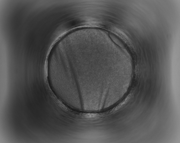 X0000094811180200712071219