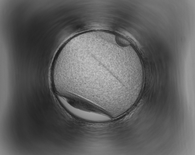 X0000094811182200712071219