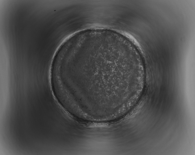 X0000094811183200712071219