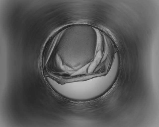 X0000094811184200712071219