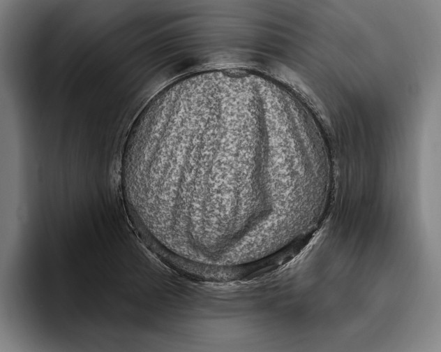 X0000094811185200712071219