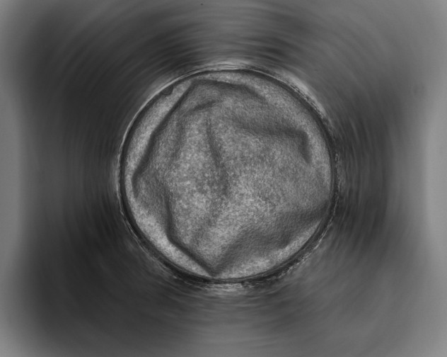 X0000094811186200712071219