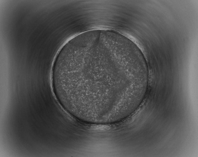 X0000094811187200712071219