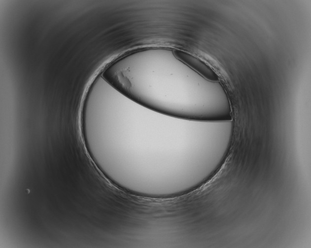 X0000094811188200712071219