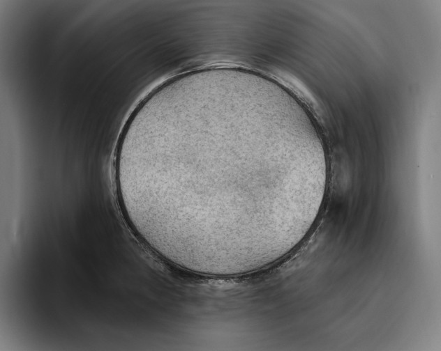 X0000094811190200712071219