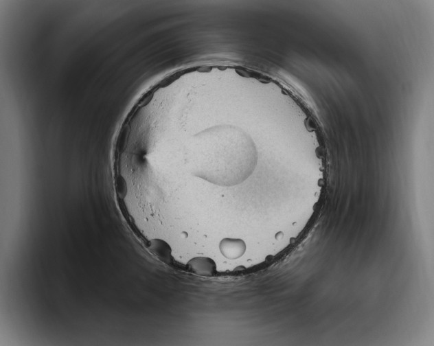 X0000094811192200712071219