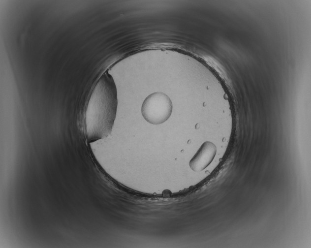 X0000094811193200712071219