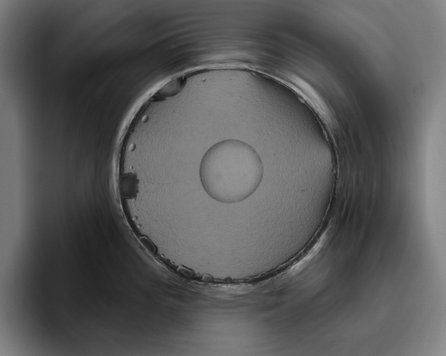 X0000094811196200712071219