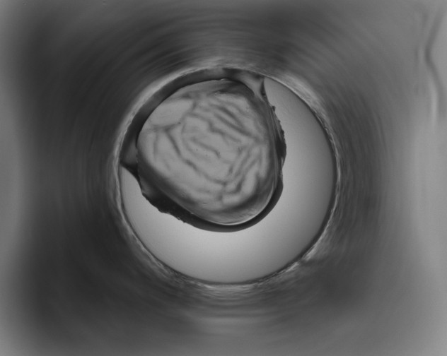 X0000094811200200712071219