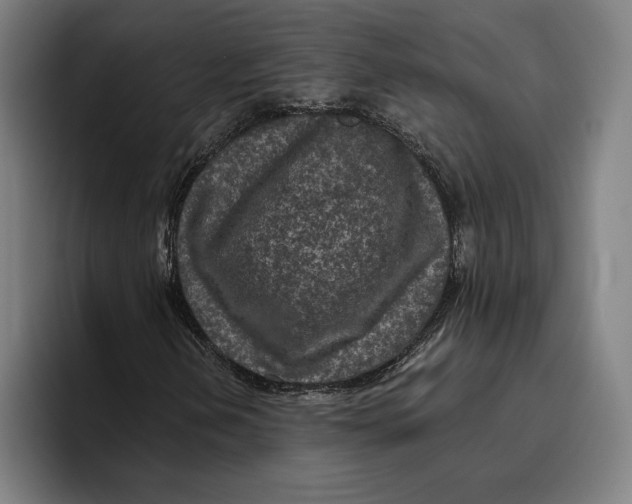 X0000094811202200712071218