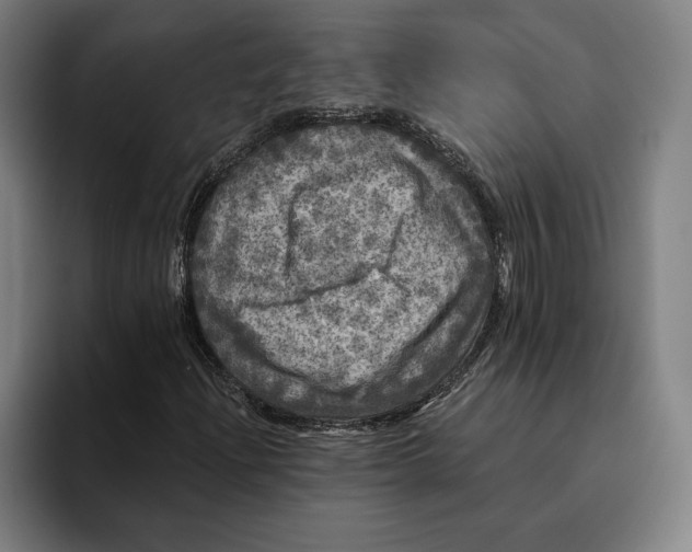 X0000094811204200712071218