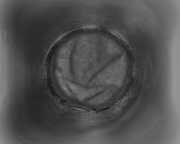 X0000094811208200712071218