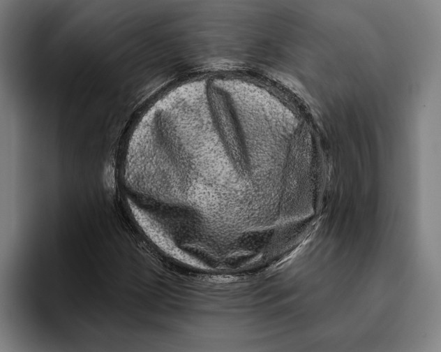 X0000094811209200712071218