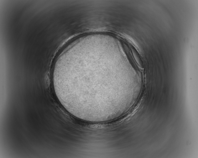 X0000094811212200712071218