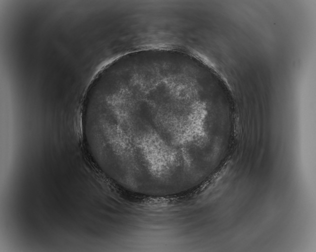 X0000094811214200712071219