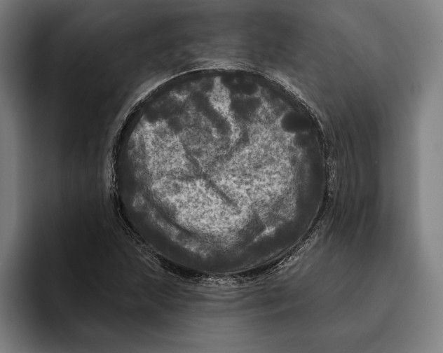 X0000094811215200712071219