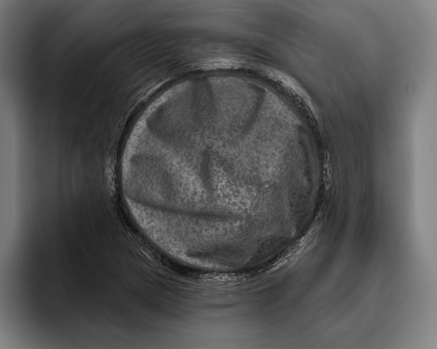 X0000094811217200712071219