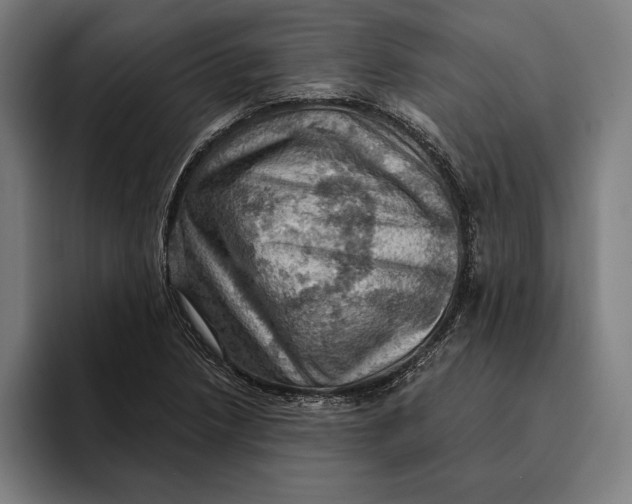 X0000094811218200712071219