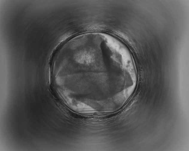 X0000094811219200712071219