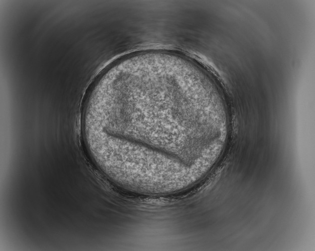 X0000094811220200712071219