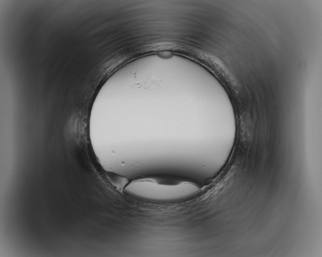 X0000094811225200712071219