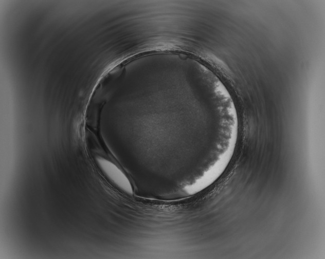 X0000094811226200712071219