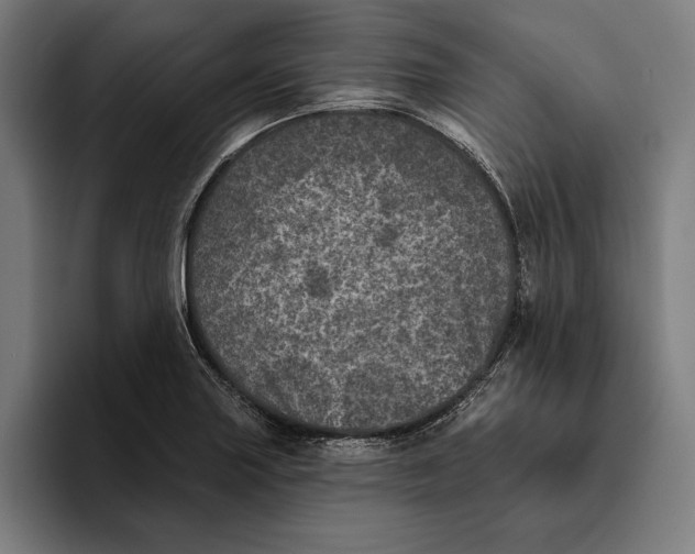 X0000094811227200712071219