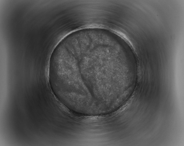 X0000094811228200712071219