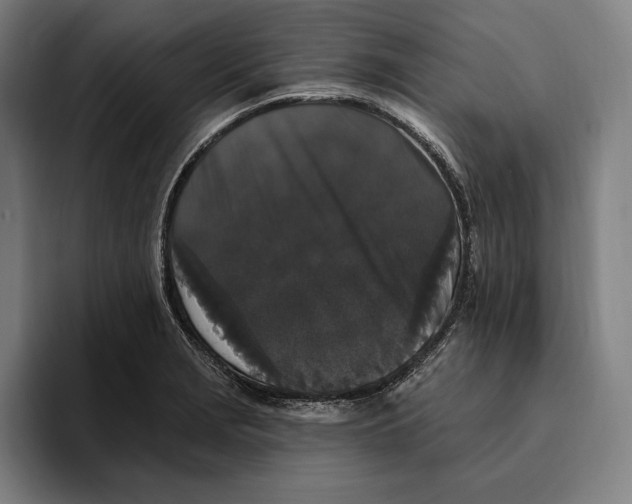 X0000094811229200712071219